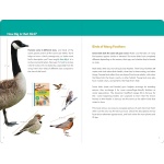 Birder's Logbook: A Seek-and-Sticker Book for Budding Ornithologists - Image 4