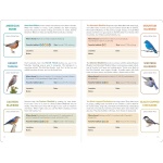 Birder's Logbook: A Seek-and-Sticker Book for Budding Ornithologists - Image 5
