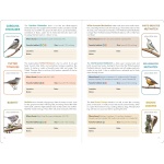Birder's Logbook: A Seek-and-Sticker Book for Budding Ornithologists - Image 6