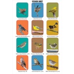 Birder's Logbook: A Seek-and-Sticker Book for Budding Ornithologists - Image 9