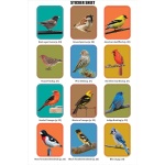 Birder's Logbook: A Seek-and-Sticker Book for Budding Ornithologists - Image 10