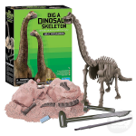 Dig A Dino Skeleton - Brachiosaurus - Image 2