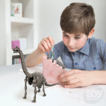 Dig A Dino Skeleton - Brachiosaurus - Image 3