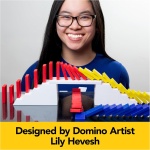 Domino Creations - Image 6