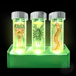 Glow Critter Lab - Image 2