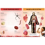 Inside Out Human Body: Explore the World's Most Amazing Machine - You! - Image 2