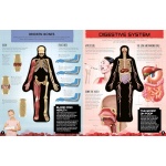 Inside Out Human Body: Explore the World's Most Amazing Machine - You! - Image 3