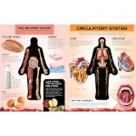 Inside Out Human Body: Explore the World's Most Amazing Machine - You! - Image 4