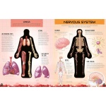 Inside Out Human Body: Explore the World's Most Amazing Machine - You! - Image 6