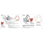 Track Finder - Image 4