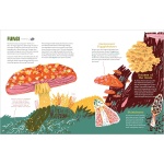 World of Rot: Learn All about the Wriggly, Slimy, Super-Cool Decomposers We Couldn’t Live Without - Image 5