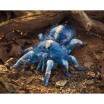 Blue Tarantula Puppet - Image 5