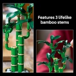 Botanicals Lucky Bamboo - Image 4