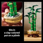 Botanicals Lucky Bamboo - Image 5