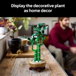 Botanicals Lucky Bamboo - Image 6