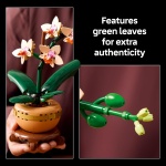 Botanicals Mini Orchid - Image 4