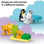 Duplo Town Wild Animal Families Penguins & Lions - Image 4