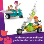 Friends Surfing Dogs and Scooter Adventure - Image 3