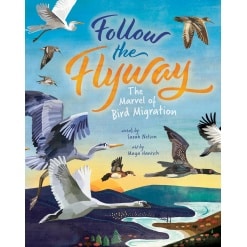 Follow the Flyway: The Marvel of Bird Migration-by-Barefoot Books