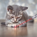 Laser Beam Pen - Interactive Pet Toy - Image 3