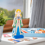 Magnetic Human Body Play Set - Image 6