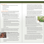 Outdoor Survival: A Guide to Staying Safe Outside - Image 3