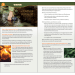 Outdoor Survival: A Guide to Staying Safe Outside - Image 4