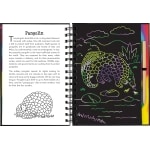 Scratch & Sketch Nocturnal Animals - Image 3