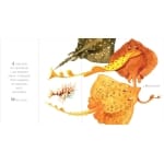 Whose Tail? - Image 3