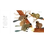 Whose Tail? - Image 4