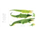 Whose Tail? - Image 6