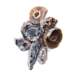 Extra Small Sliced Ocos Geodes - Image 2