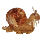 Miyoni Garden Snail - Image 2