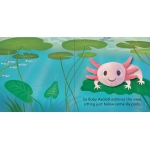 Baby Axolotl: Finger Puppet Book - Image 9