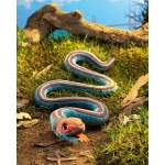San Francisco Garter Snake - Image 4