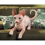 Sphynx Cat Puppet - Image 4