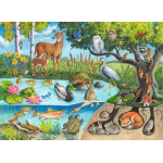 Animals Above and Below 60pc Puzzle - Image 2