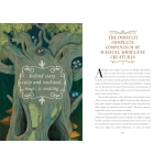 How to Spot a Magical Woodland Creature - Image 3
