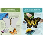 Inside Out Butterfly - Image 3