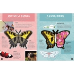 Inside Out Butterfly - Image 5