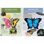 Inside Out Butterfly - Image 6