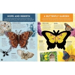 Inside Out Butterfly - Image 7