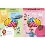 Inside Out Human Brain: Explore Inside Your Body's Super Computer - Image 4