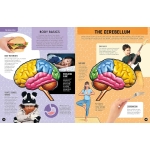 Inside Out Human Brain: Explore Inside Your Body's Super Computer - Image 6