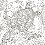 Ocean Mandala Art Coloring Book - Image 2