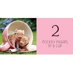 Pocket Piggies Numbers - Image 3