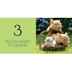 Pocket Piggies Numbers - Image 4