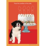 Puppy Preschool Activity Book - Image 5