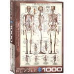 Skeletal System 1000pc Puzzle-by-Eurographics