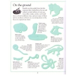 Ultimate Sticker Book: Reptile - Image 2